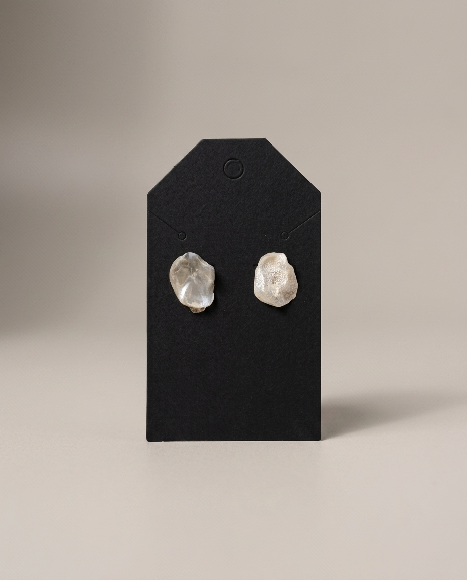 Oyster Shell Earrings-1